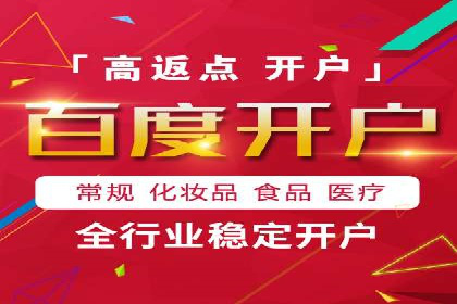 百度竞价排名机制：成功案例与策略探讨